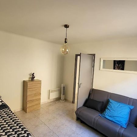 Appartement Chaleureux, Proche De La Gare 페르피냥 외부 사진