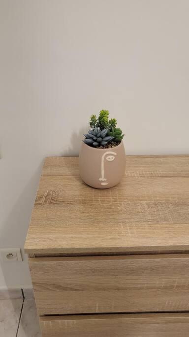 Appartement Chaleureux, Proche De La Gare 페르피냥 외부 사진