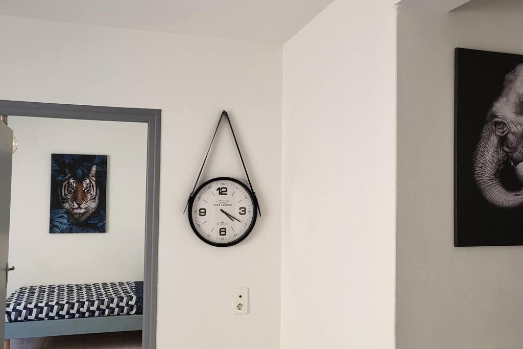 Appartement Chaleureux, Proche De La Gare 페르피냥 외부 사진